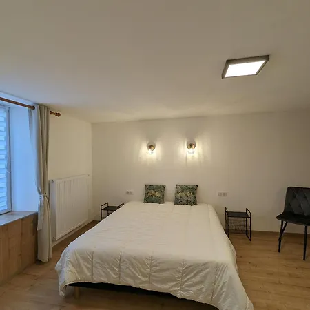 Elegant Avec Jardin, Proche Luxembourg, Nancy, Metz - Fr-1-585-163 *